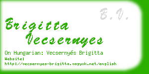brigitta vecsernyes business card
